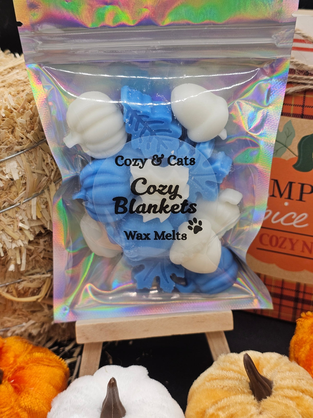 Cozy Fall Day Fall Wax Melt Gift Set