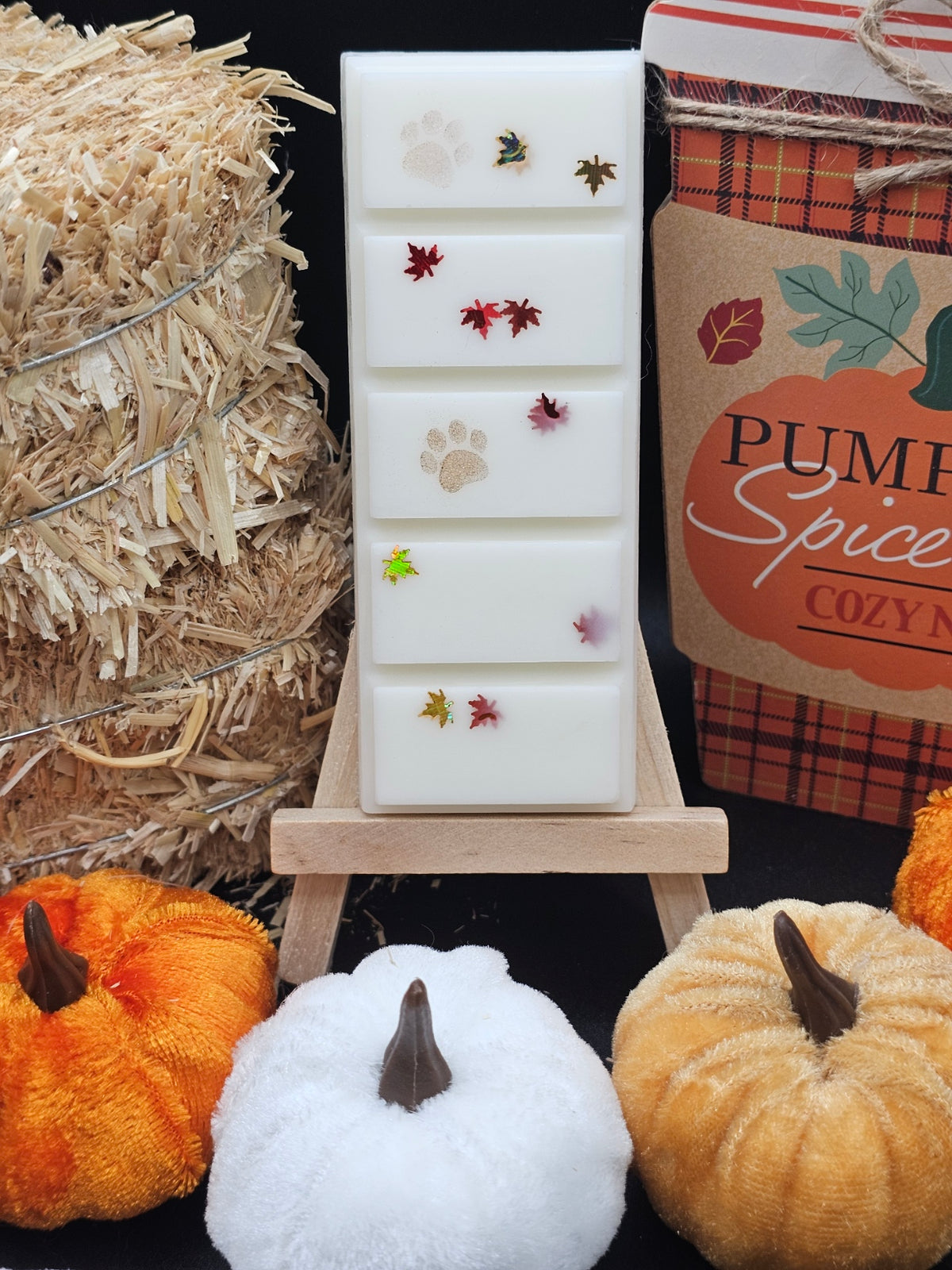 Cozy Fall Day Fall Wax Melt Gift Set